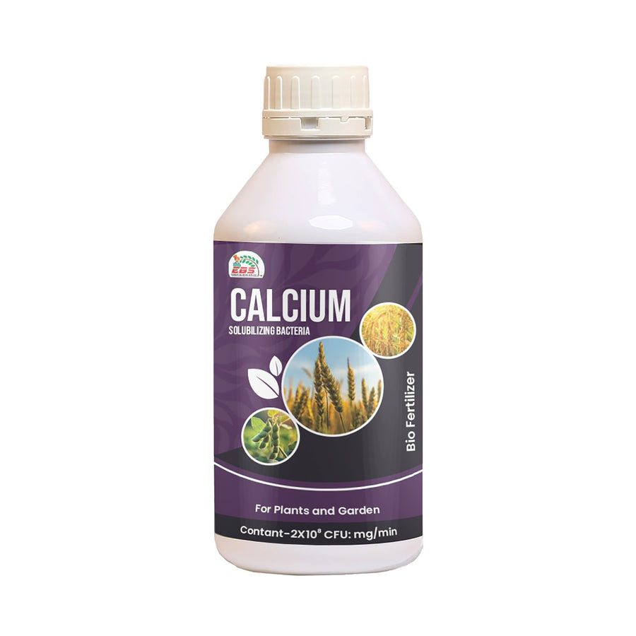 EBS Calcium Solubilizing Bacteria Bio Fertilizer