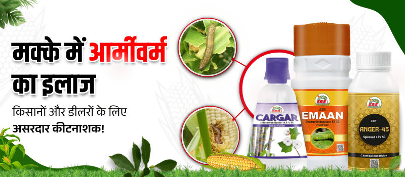 मक्के में आर्मीवर्म का इलाज – किसानों और डीलरों के लिए असरदार कीटनाशक!