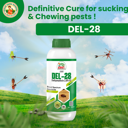 EBS Del-28 Deltamethrin 2.8% Ec