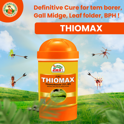 EBS Thiomax Thiamethoxam 25% Wg