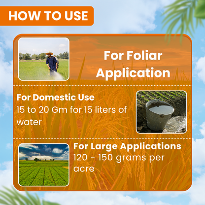 EBS Insectastop | Pymetrozine 50% WG | Dose: 120-150 gm/Acre