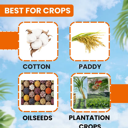 EBS Alphosides Quinalphos 25% EC Is An Organo-Phosphatic Insecticide That Controls Chewing, Sucking, And Mites Type Pests.