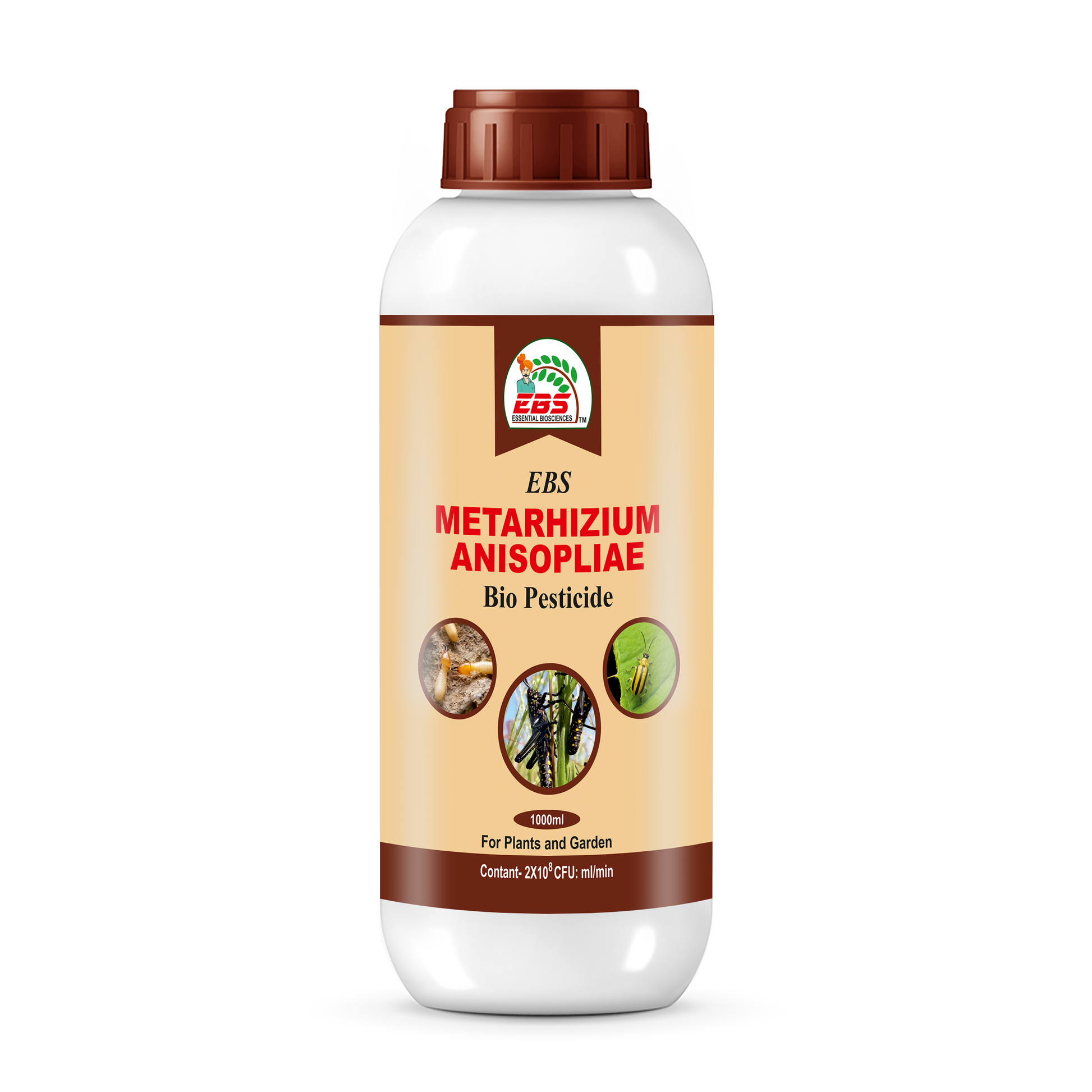 METARHIZIUManisopliae Bio pesticide