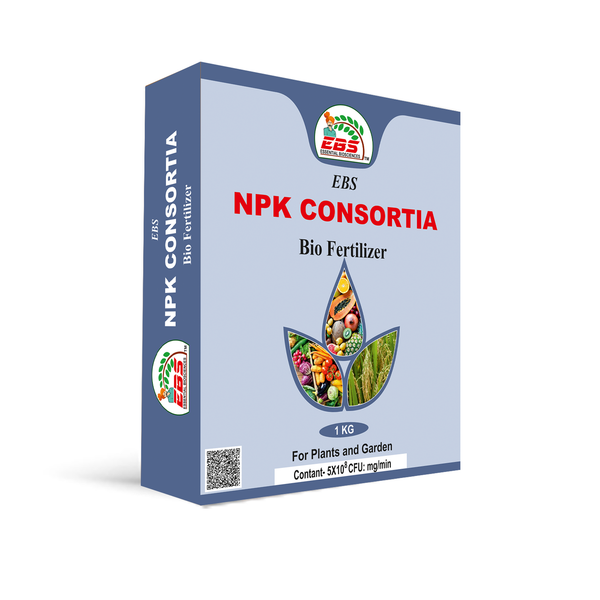 EBS Npk Consortia Bio Fertilizer Powder