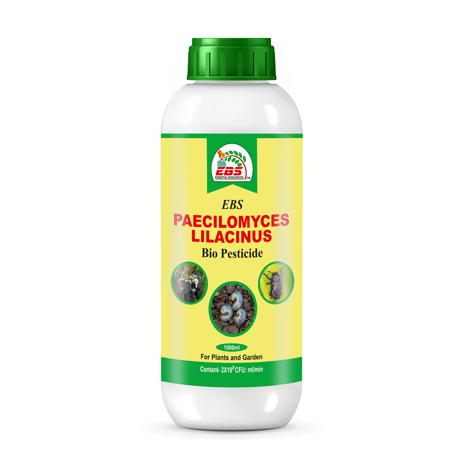 PAECILOMYCESlilacinus bio pesticide