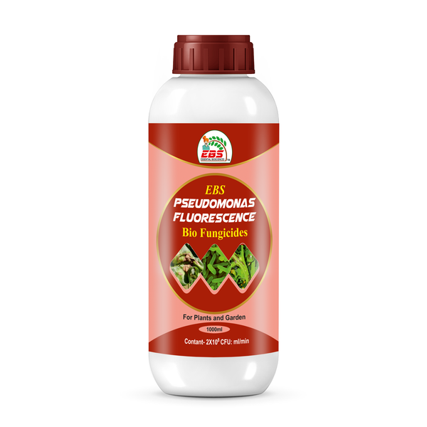 EBS Pseudomonas fluorescence Bio fungicide