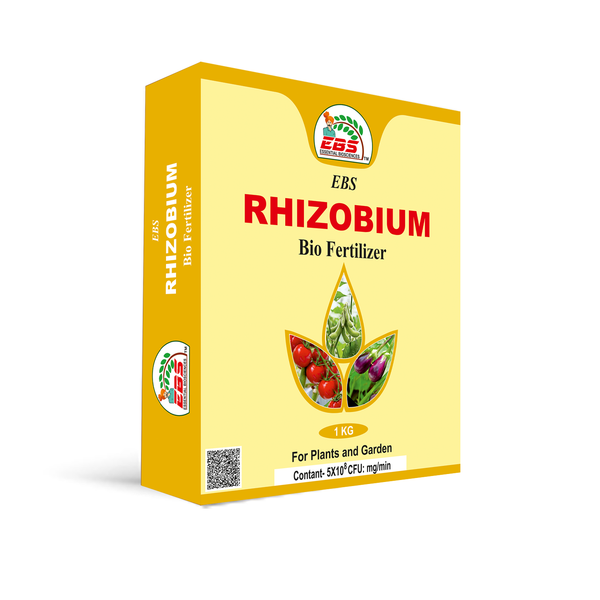 EBS Rhizobium Nitrogen Fixing Bio Fertilizer Powder