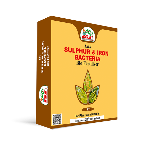 EBS Sulphur & Iron Bacteria Bio Fertilizer Powder