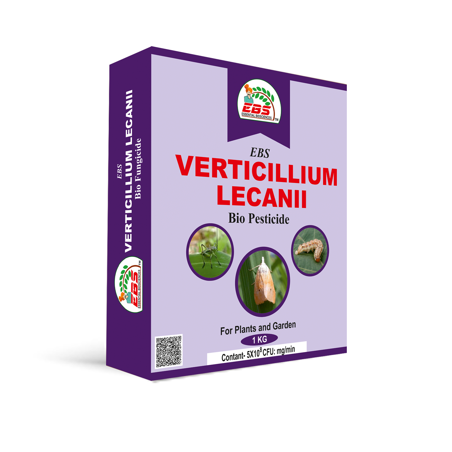 VERTICILLIUM LECANI BIO  PESTICIDE