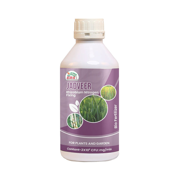 EBS Rhizobium Nitrogen Fixing Bio fertilizer