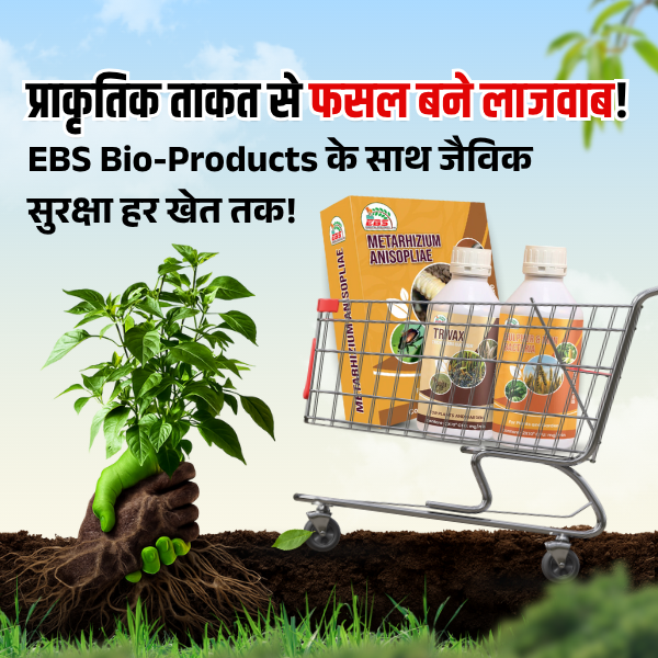 ప్రత్యేకమైన చిత్రం