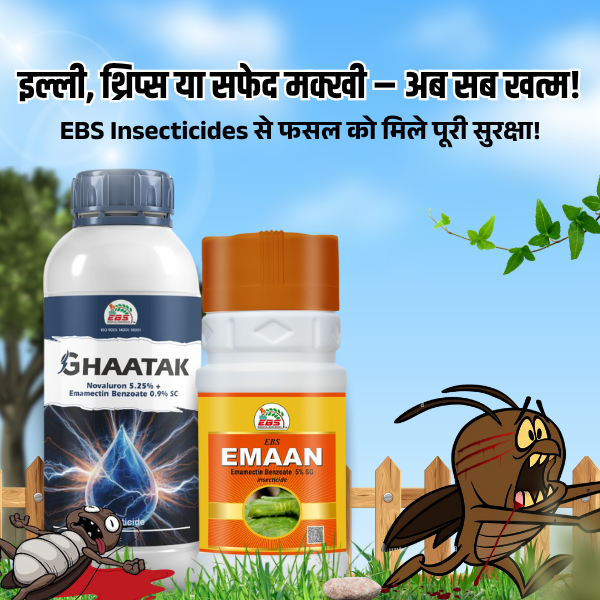 ప్రత్యేకమైన చిత్రం