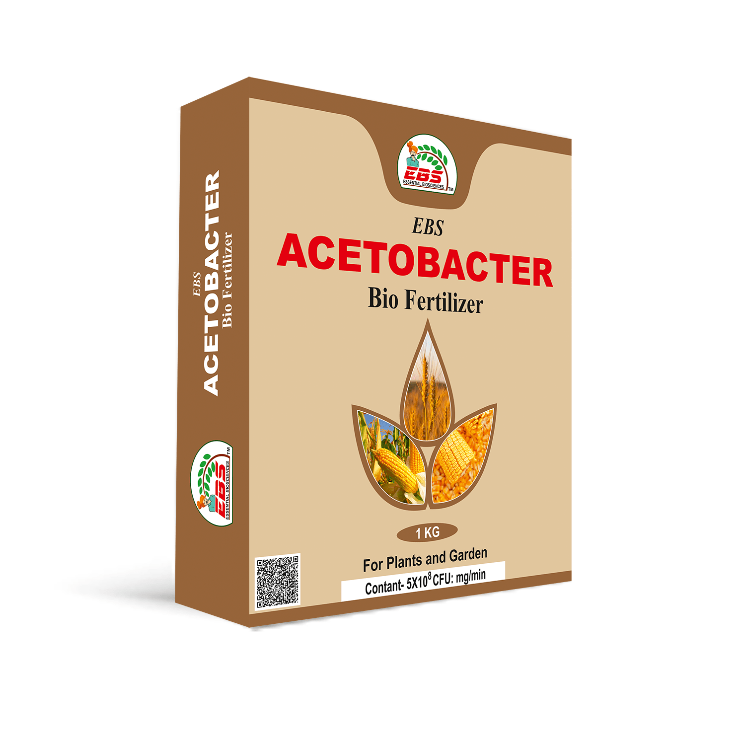 acetobacter bio fertilizer