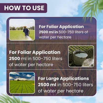 ईबीएस अल्फा साइपर 161 क्लोरपायरीफॉस 16 %+अल्फासाइपरमेथ्रिन 1% ईसी