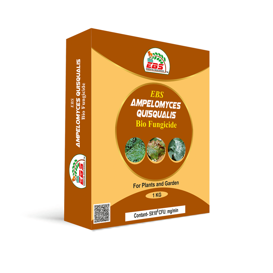 EBS Ampelomyces Quisqualis Bio fungicide