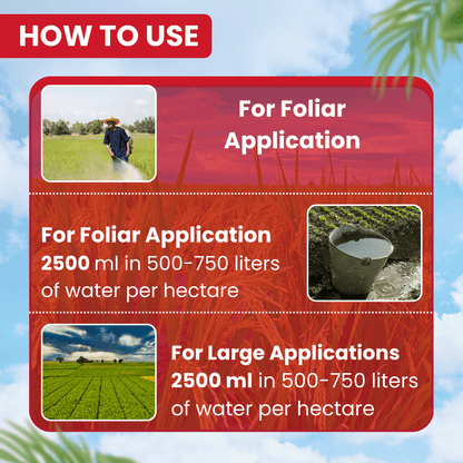 EBS B-Pro Buprofezin 25% Sc-Insecticide