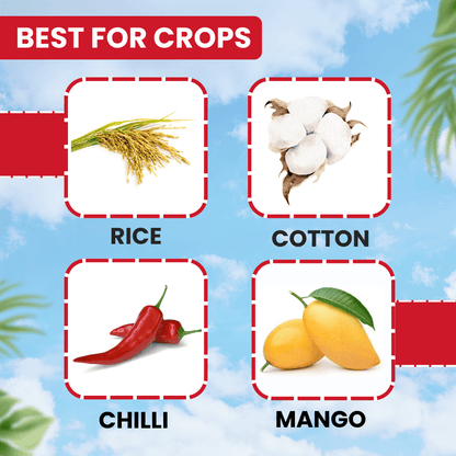 EBS B-Pro Buprofezin 25% Sc-Insecticide