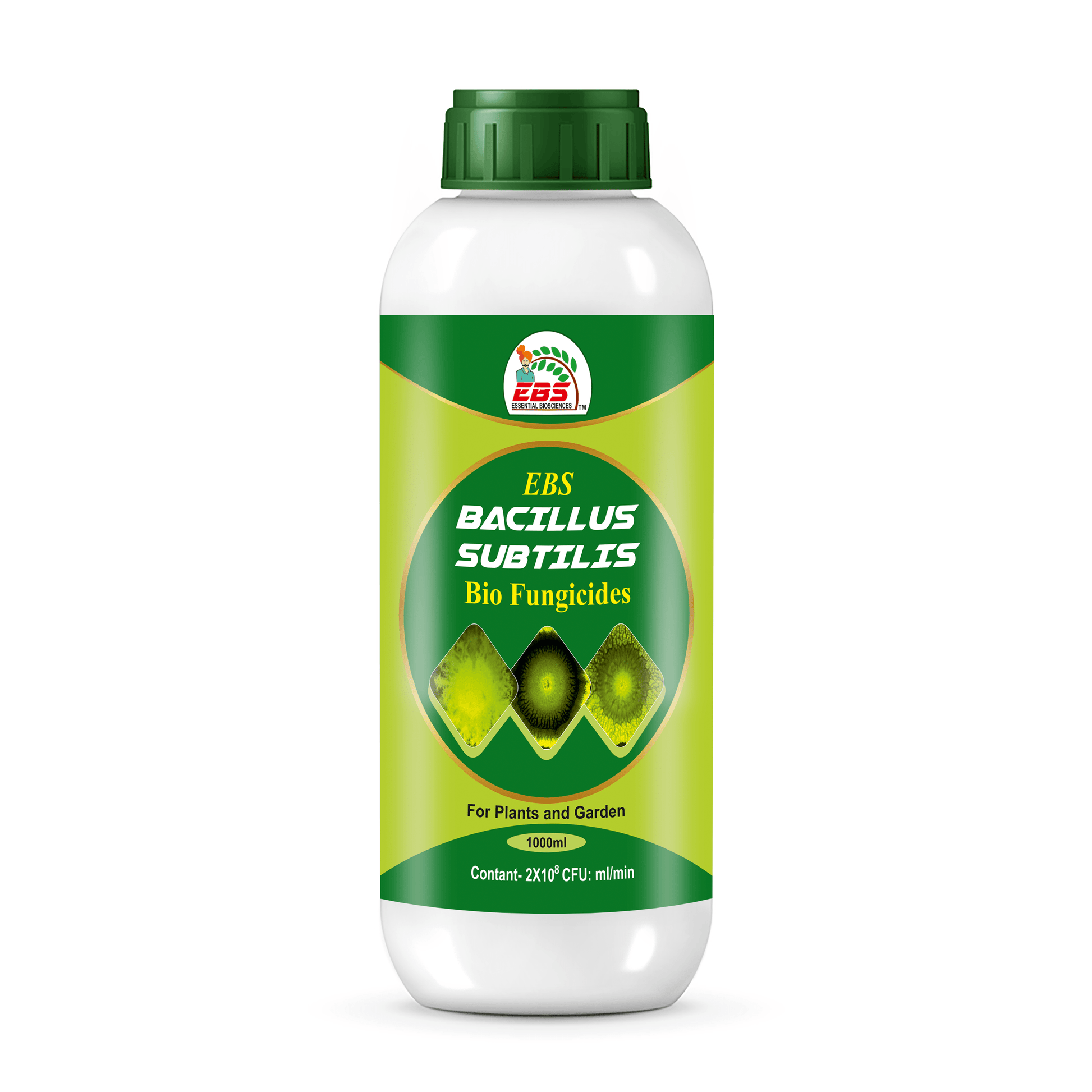 BACILLUSsubtilis bio fungicide