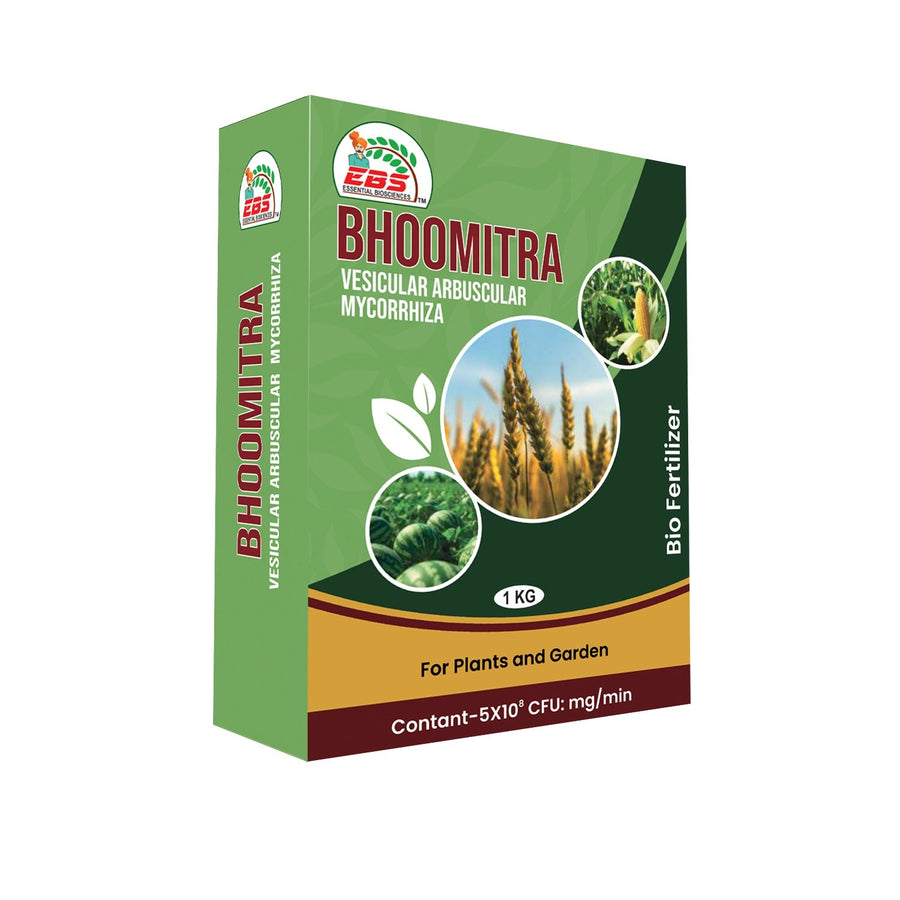 ईबीएस वीएएम वेसिकुलर अर्बुस्कुलर माइकोराइजा जैव उर्वरक