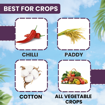 ईबीएस बिफेंट-10 ईसी बिफेंथ्रिन 10% ईसी