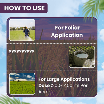 ईबीएस बिफेंट-10 ईसी बिफेंथ्रिन 10% ईसी