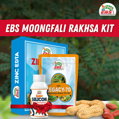 EBS Boron 20% Fertilizer