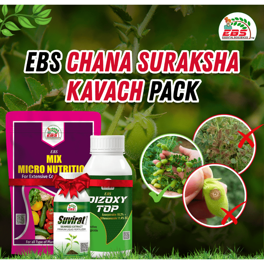 EBS Chana Suraksha Kavach Pack