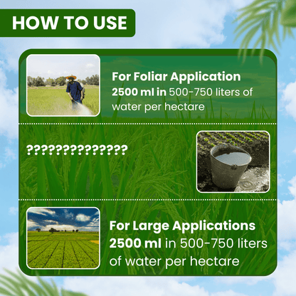 ईबीएस क्लोरमाइट्स क्लोरोपाइरीफॉस 20% ईसी