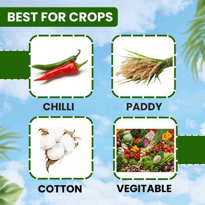 ईबीएस क्लोरमाइट्स क्लोरोपाइरीफॉस 20% ईसी