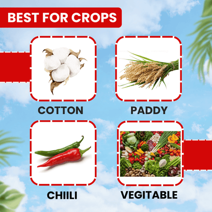 ईबीएस क्लोरमाइट्स प्रो क्लोरोपाइरीफोस 50% ईसी