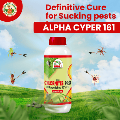 ईबीएस क्लोरमाइट्स प्रो क्लोरोपाइरीफोस 50% ईसी