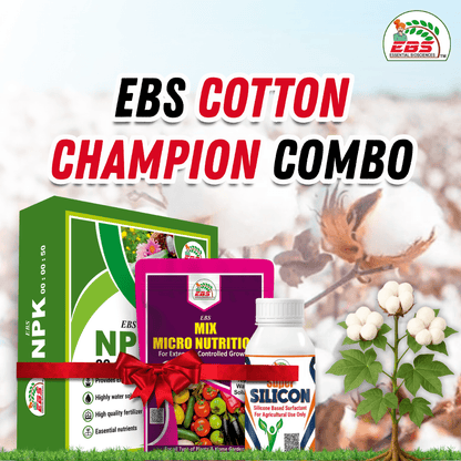 EBS Cotton Champion Combo