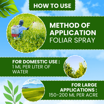 EBS Custom Azoxystrobin 11%+tebuconazole 18.3% Sc