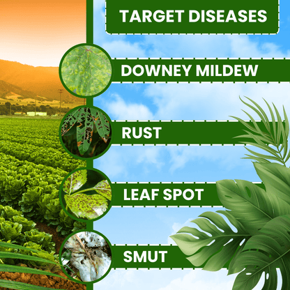 EBS Custom Azoxystrobin 11%+tebuconazole 18.3% Sc