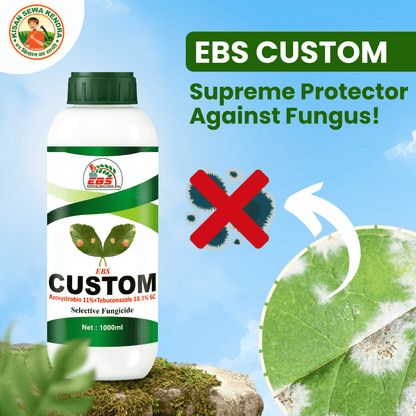 EBS Custom Azoxystrobin 11%+tebuconazole 18.3% Sc