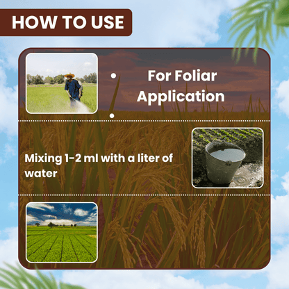 ईबीएस डिफेंडर-30 डाइमेथोएट 30% ईसी