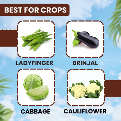 ईबीएस डिफेंडर-30 डाइमेथोएट 30% ईसी