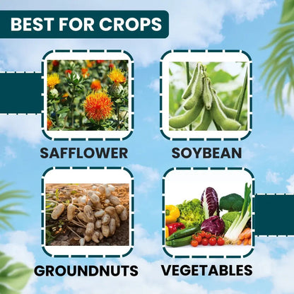 ईबीएस ईमान-19 इमामेक्टिन बेंजोएट 1.9% ईसी