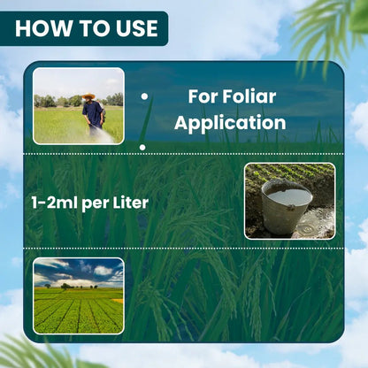 ईबीएस ईमान-19 इमामेक्टिन बेंजोएट 1.9% ईसी
