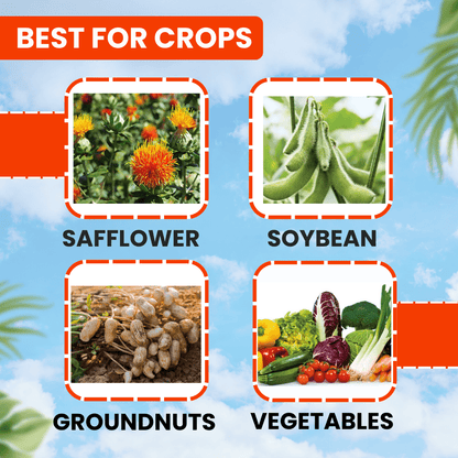 EBS Emaan Emamectin Benzoate 5% Sg