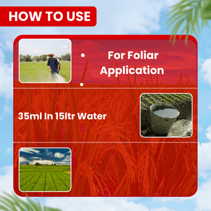 ईबीएस इथॉन साइपर इथियन 40% + साइपरमेथ्रिन 5% ईसी