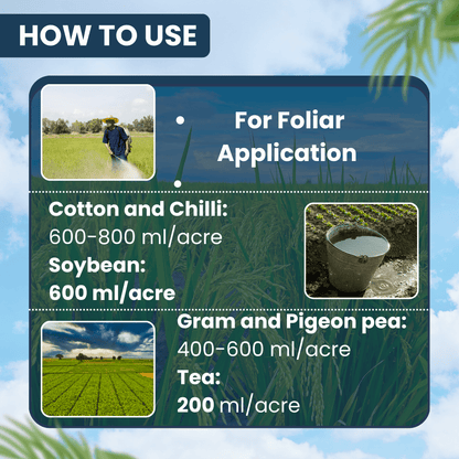 ईबीएस एथन हंट एथियन 50% ईसी