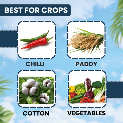 Ethion 50 EC insecticide for crop protection