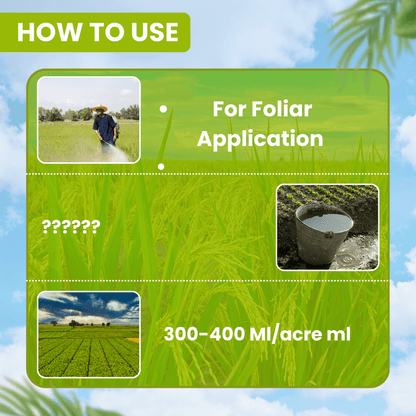 ईबीएस फेनो-50 फेनोबुकार्ब-50% ईसी