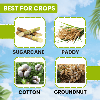 ईबीएस फेनो-50 फेनोबुकार्ब-50% ईसी