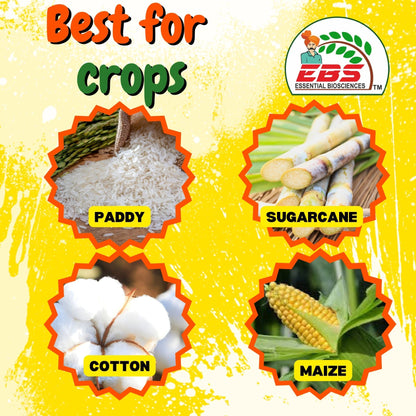 EBS FERTAP-GOLD Chlorantraniliprole 0.4% GR