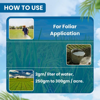 ईबीएस फिफ्टी हॉर्सेस डायफेनथियूरॉन 50%WP