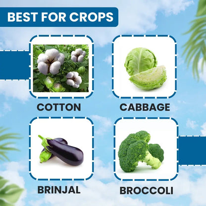 ईबीएस फिफ्टी हॉर्सेस डायफेनथियूरॉन 50%WP