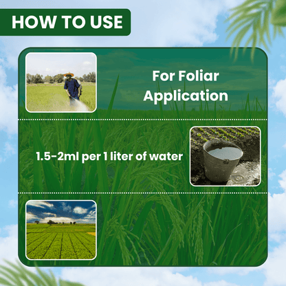 EBS G-Pro Propargite 57 EC mite insecticide for crop protection