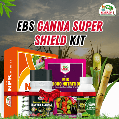 EBS Ganna Super Shield Kit